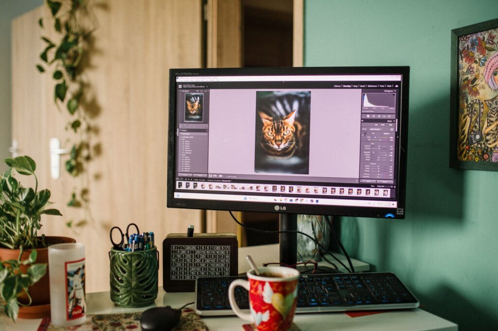 WordPress Bilder komprimieren und passende Bildmaße einstellen